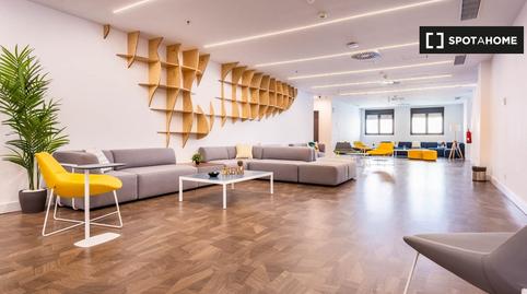 Photo 3 of Study to share in Sector Sur  - La Palmera - Reina Mercedes,  Sevilla Capital