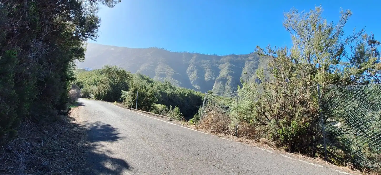 Vista exterior de Finca rústica en venta en Los Realejos con Jardín privado y Terraza