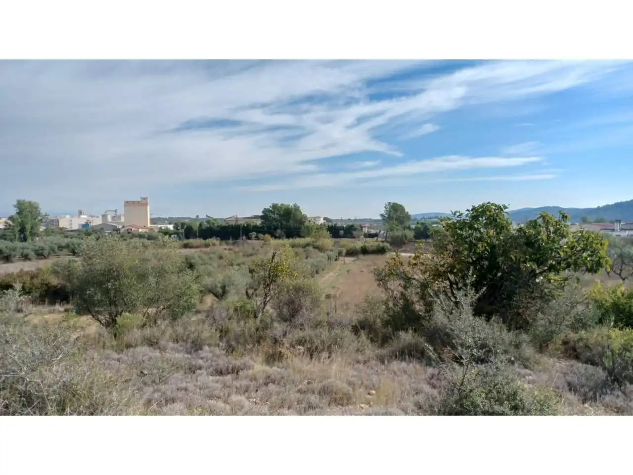 Terrain rustique à vendre à Calle Poligono 22 parcela 415