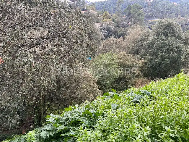 Terreno residencial en venta en La Floresta, imagen 11