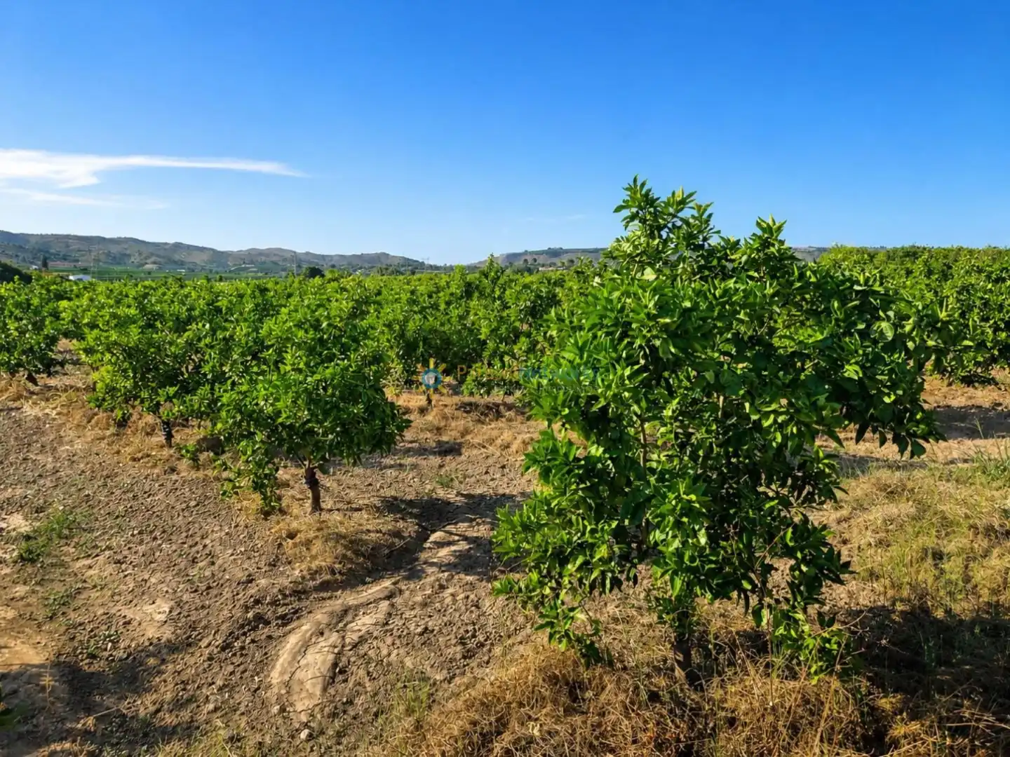 Finca rústica en venda en Cotes amb Jardí privat, Terrassa i Piscina
