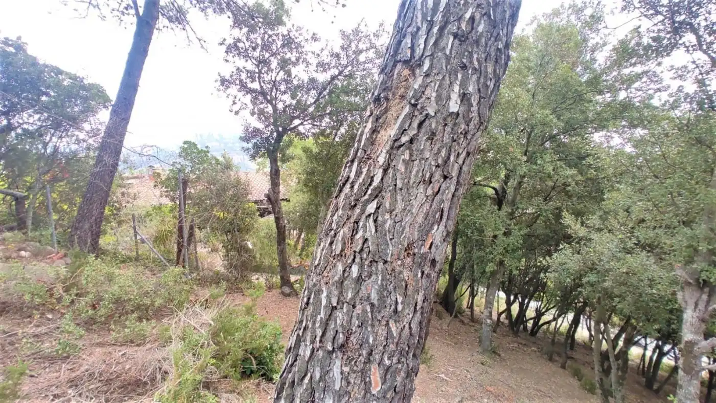 Terrain résidentiel à vendre à Matadepera, imagen 9