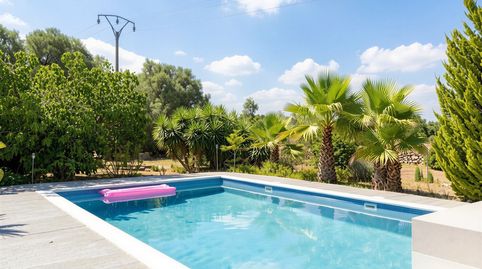 Finca autosuficiente con piscina de agua salada y casa de invitados en Algaida, imagen 2