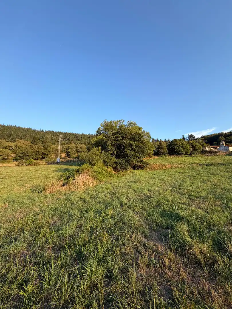 Rural land for sale in Tineo, imagen 22