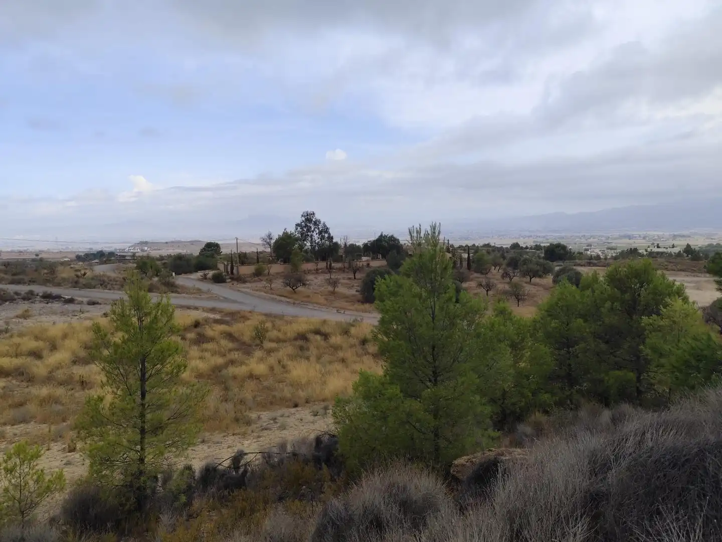 Terreno rustico in vendita a Pedanías Centro, imagen 6