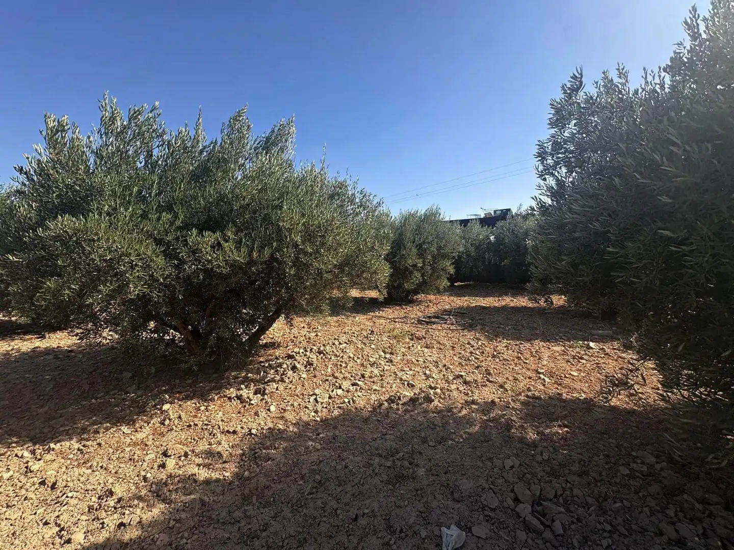 Terreno en venta en Totana
