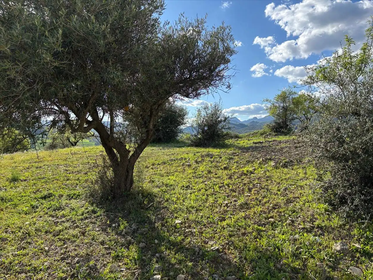 Terreni e lotti in vendita a Majiaza, S/N, imagen 12