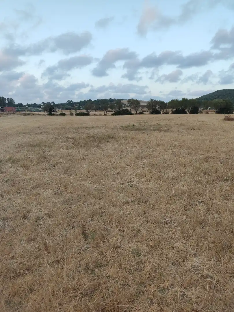 Land for sale in Vejer de la Frontera