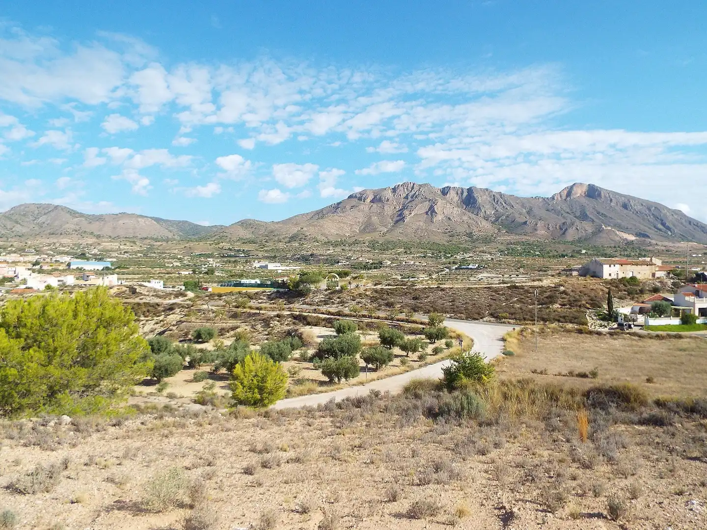 Lands and plots for sale in Abanilla, imagen 4