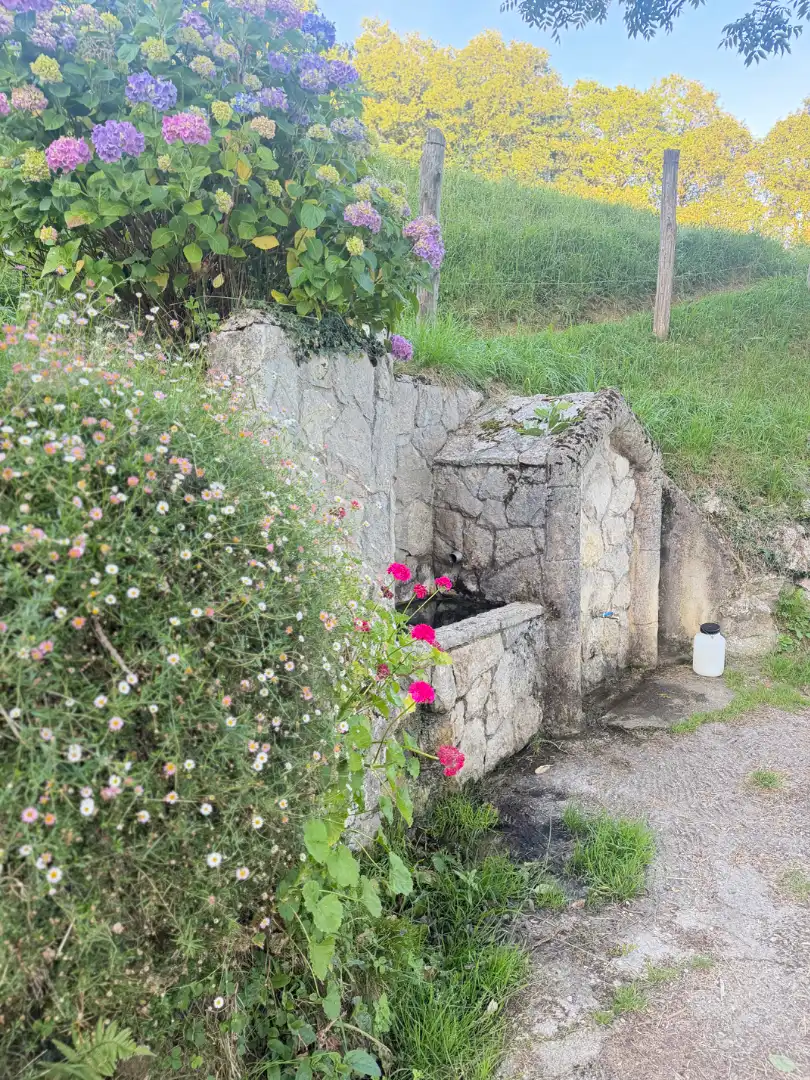 Jardí de Residencial en venda en Bimenes