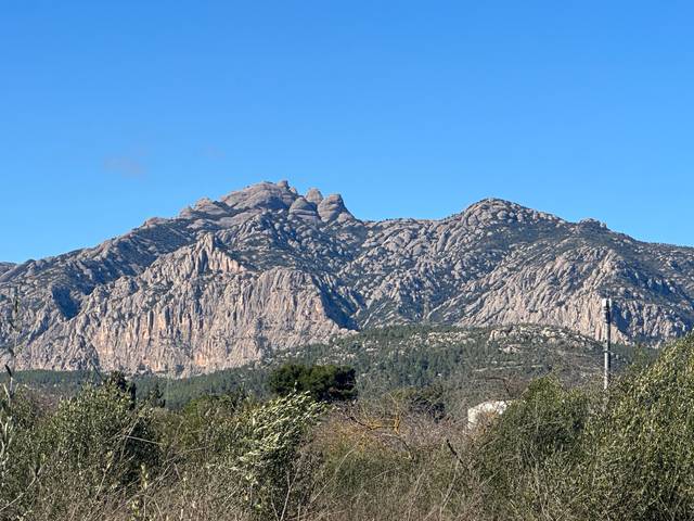 Terreno residencial en Venta en La Plana