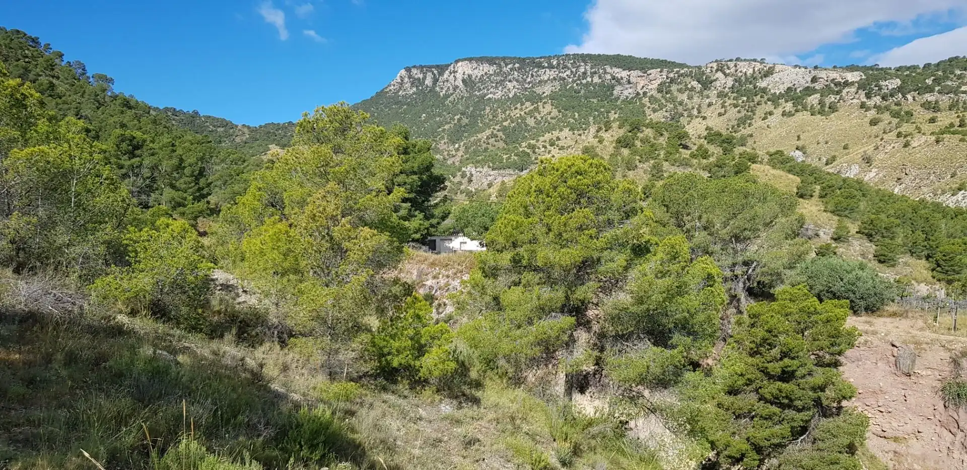 Casa o chalet en venta en Aledo con Terraza y Trastero