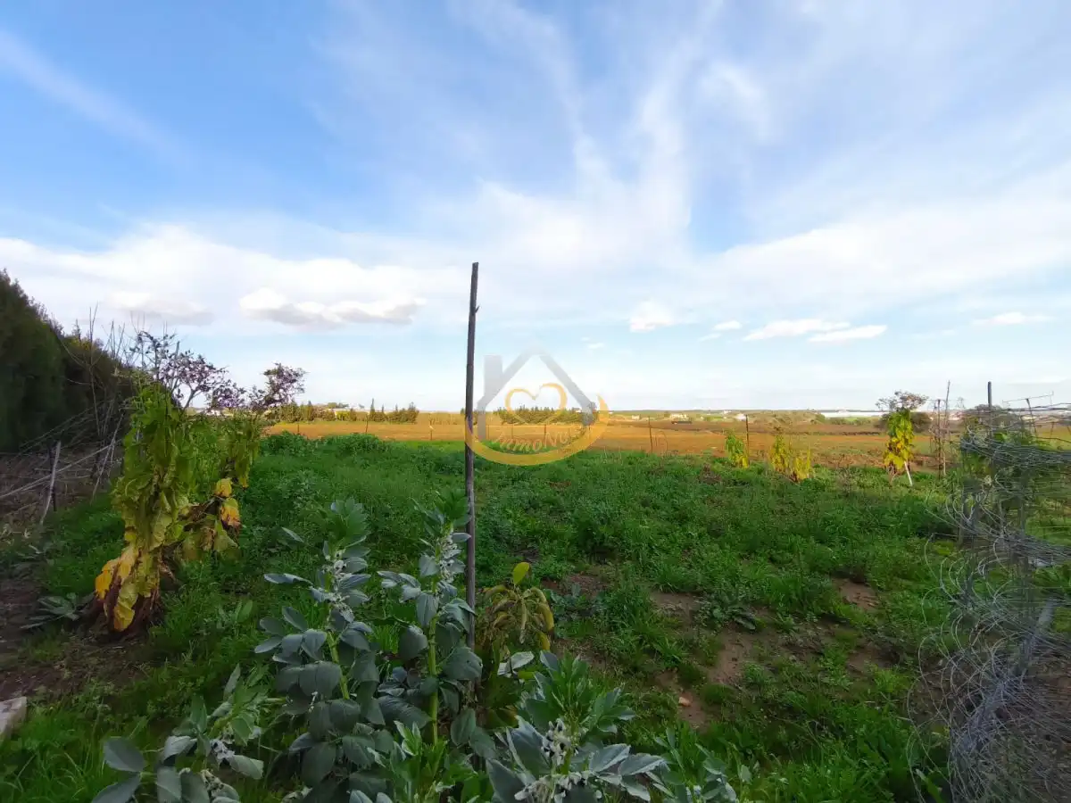 Terrenos y solares en venta en Núcleo urbano, imagen 34