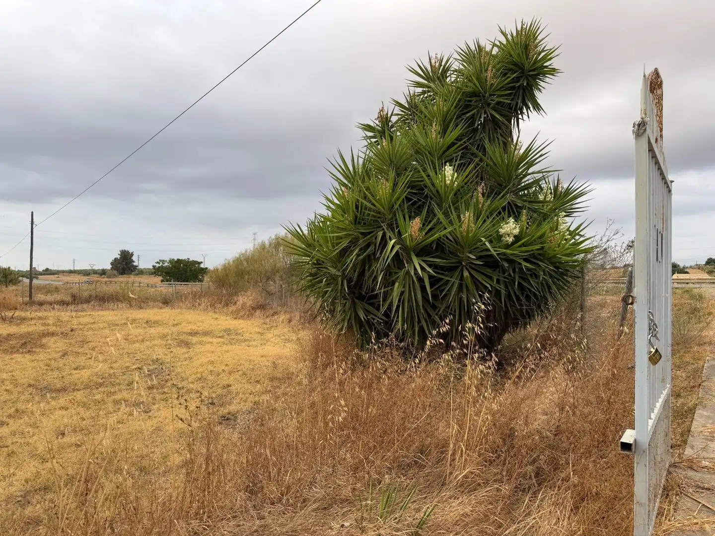Country homes for sale in Trigueros, Huelva