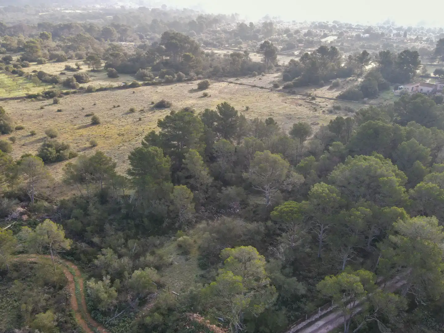 Terreni e lotti in vendita a Algaida, imagen 14
