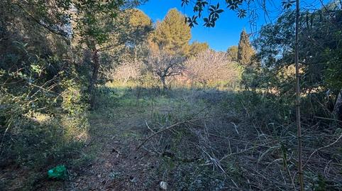 Photo 3 of Residential for sale in Avinguda del Mal Pas, 9, Bacarés - Manresa  - Bonaire, Alcúdia