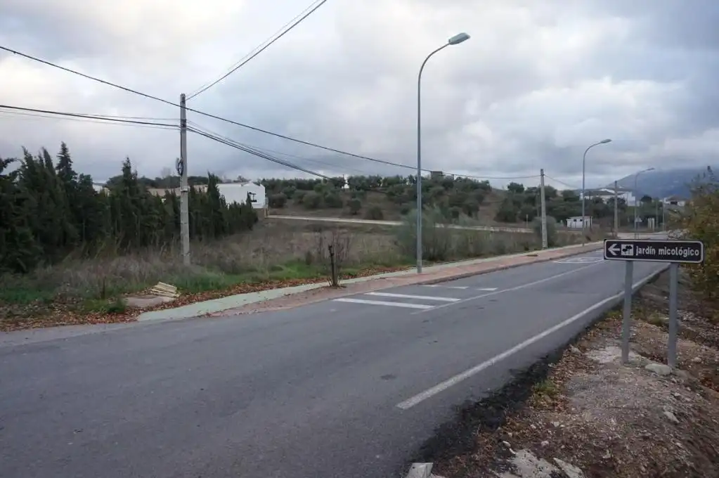 Terreny rústic en venda a C/ Batán, imagen 15