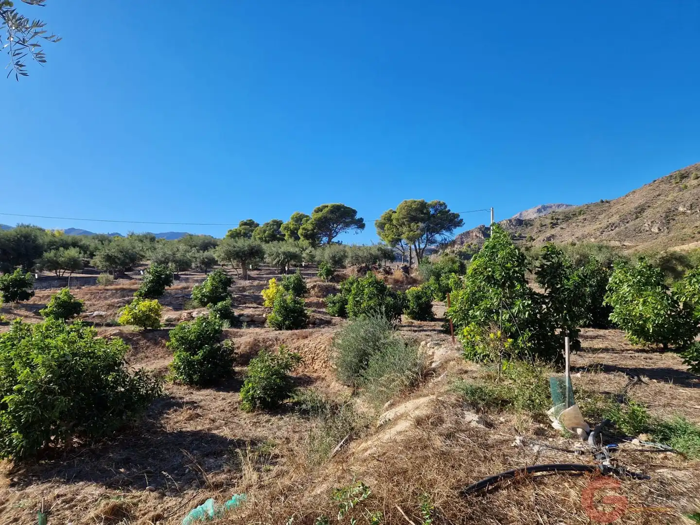Casa rústica con piscina en venta en Los Guájares, imagen 30