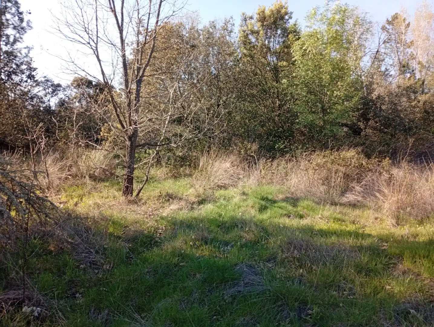 Terreni e lotti in vendita a Villanueva de la Vera, imagen 43
