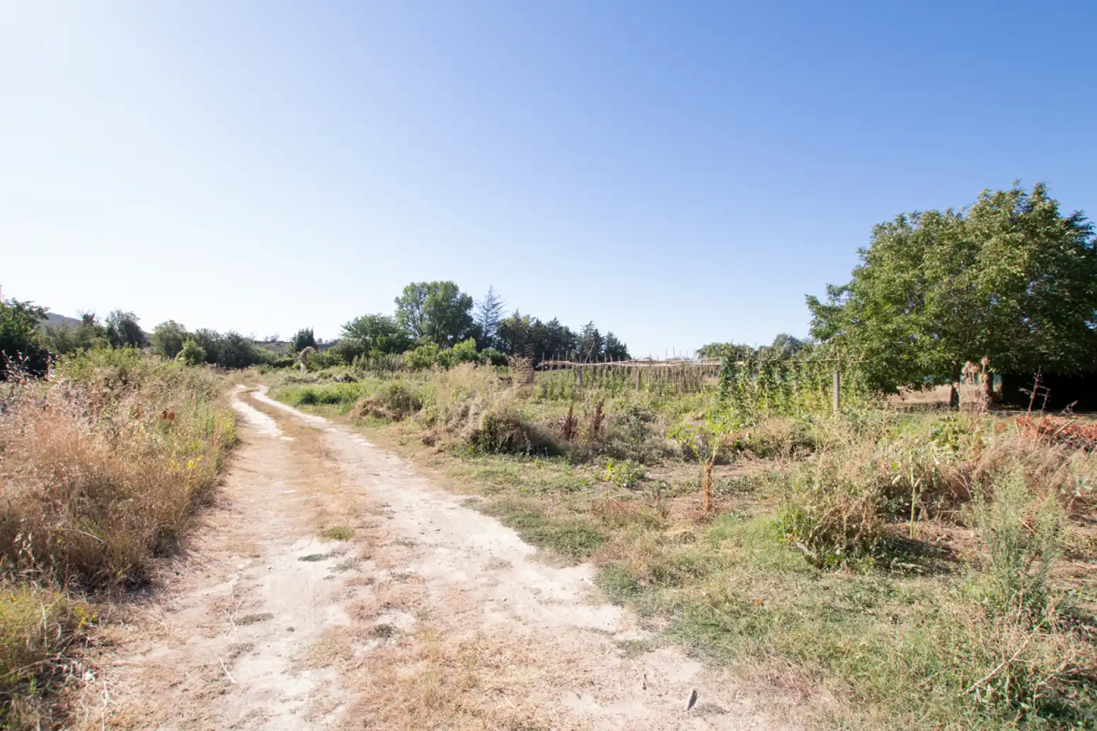 Land for sale in Tafalla - PARAJE MAKOTXA, Tafalla