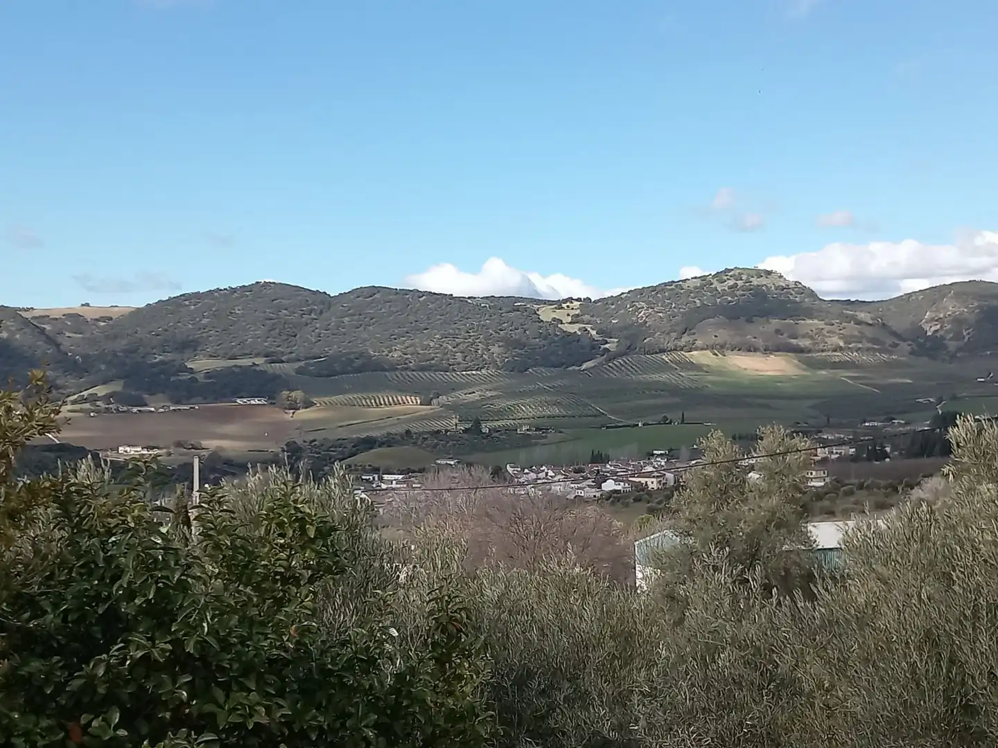 Finca rústica en venta en Arriate