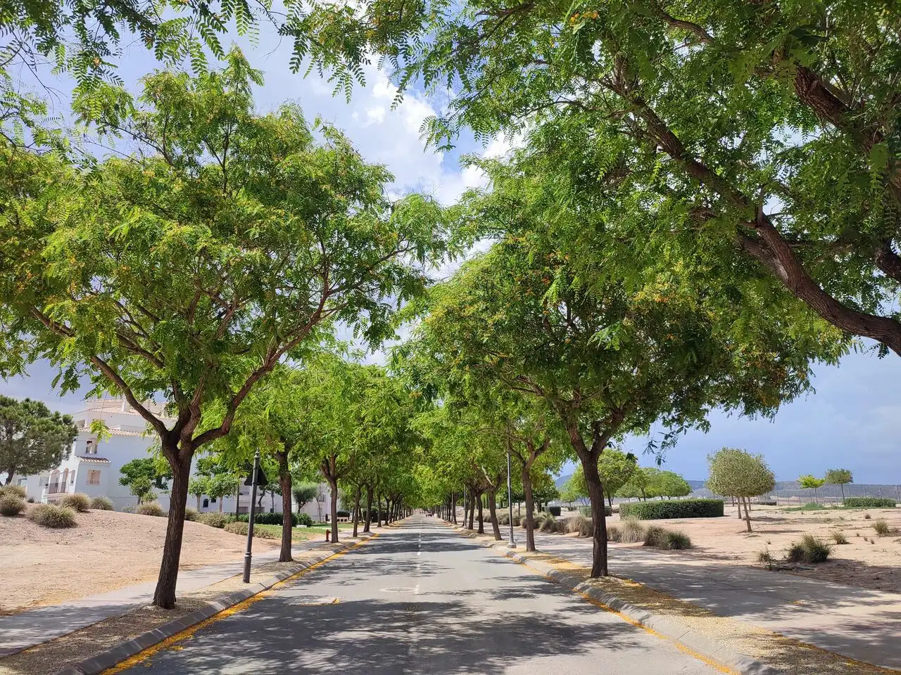 Apartament en venda a Jerónimo y Avileses