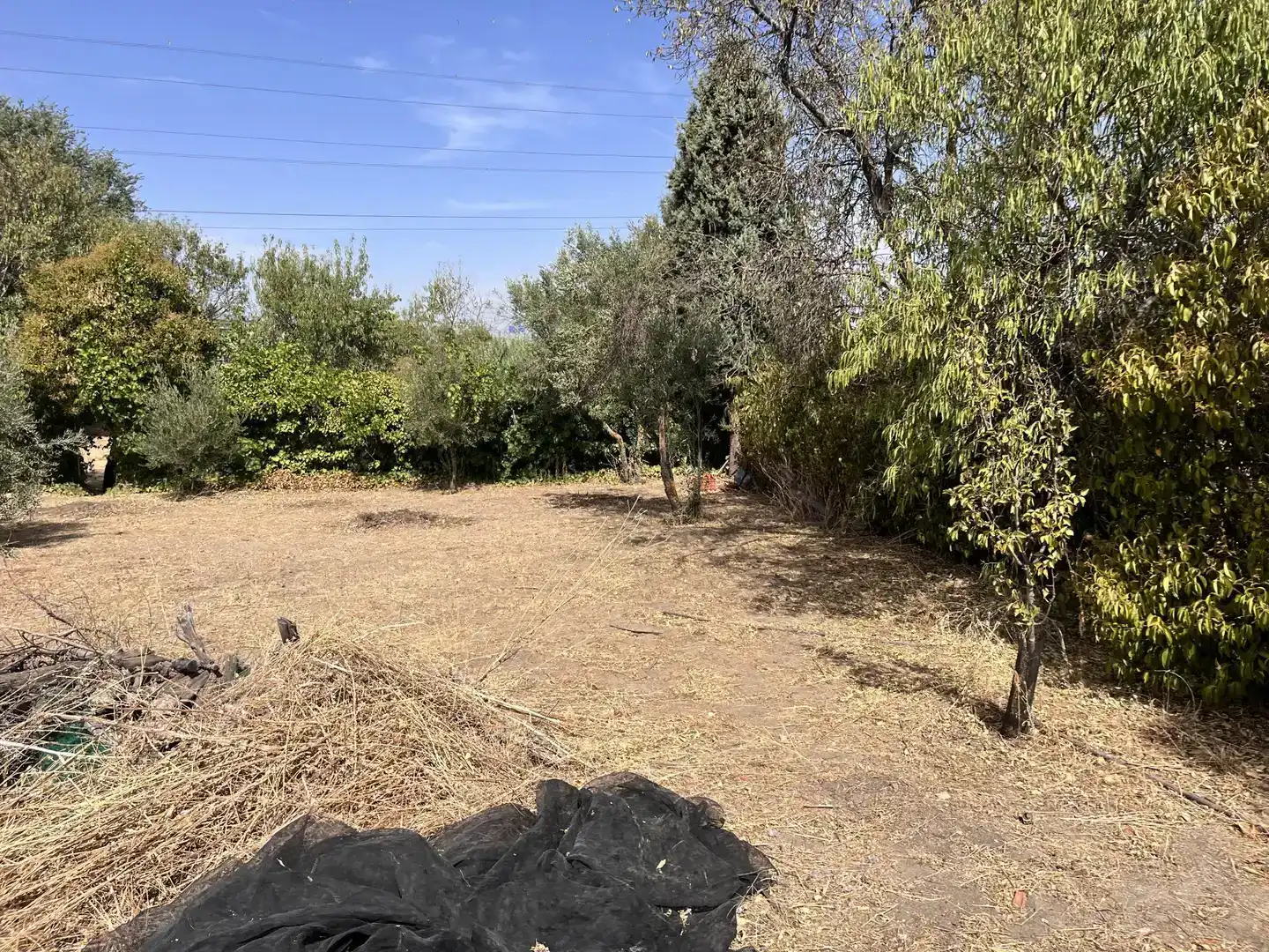 Land for sale in Pinto