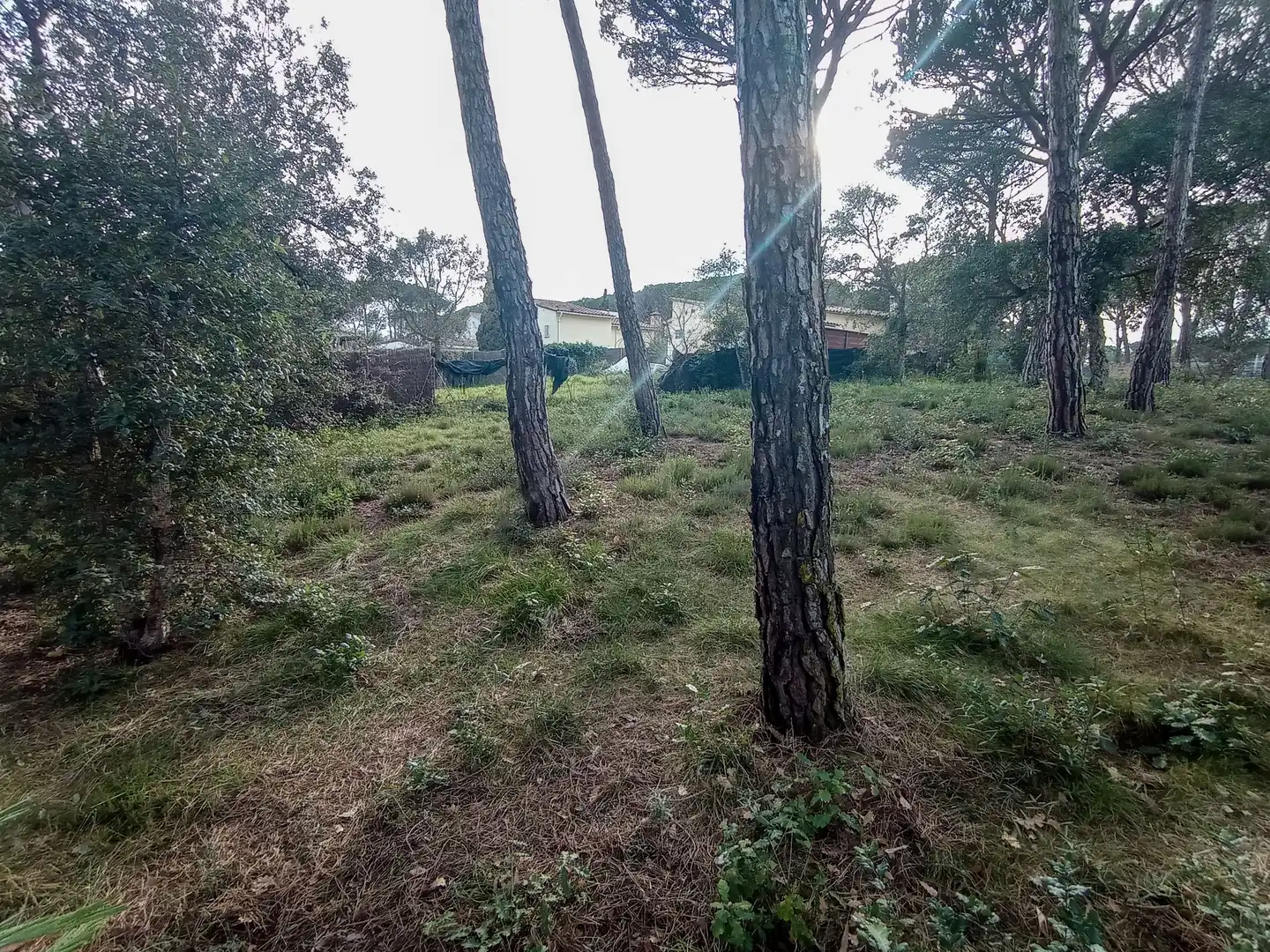 Terreny residencial en venda a Llagostera, imagen 2