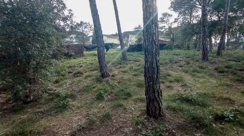 TERRENO CON POCA PENDIENTE EN LLAGOSTERA , immagine 2
