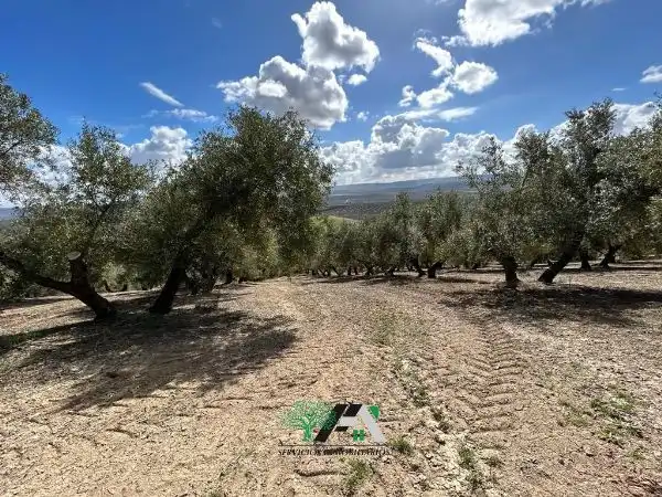 Terreni e lotti in vendita a Calle Llano 41, imagen 3