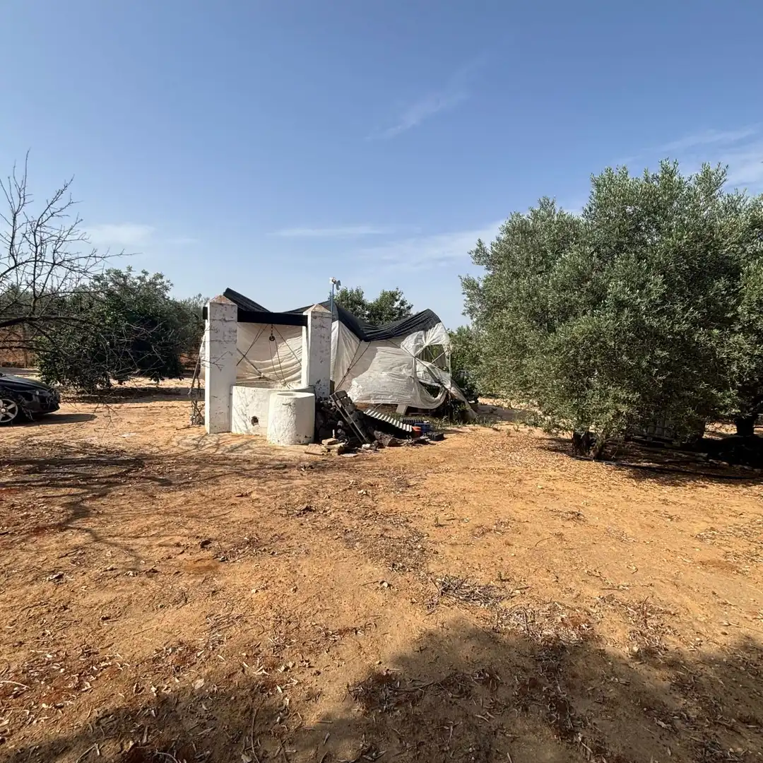 Finca rústica en venda en Almonte