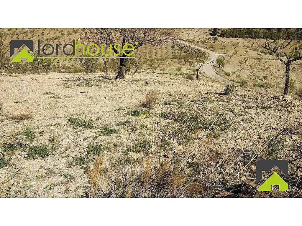 Finca rústica en venta en Lorca