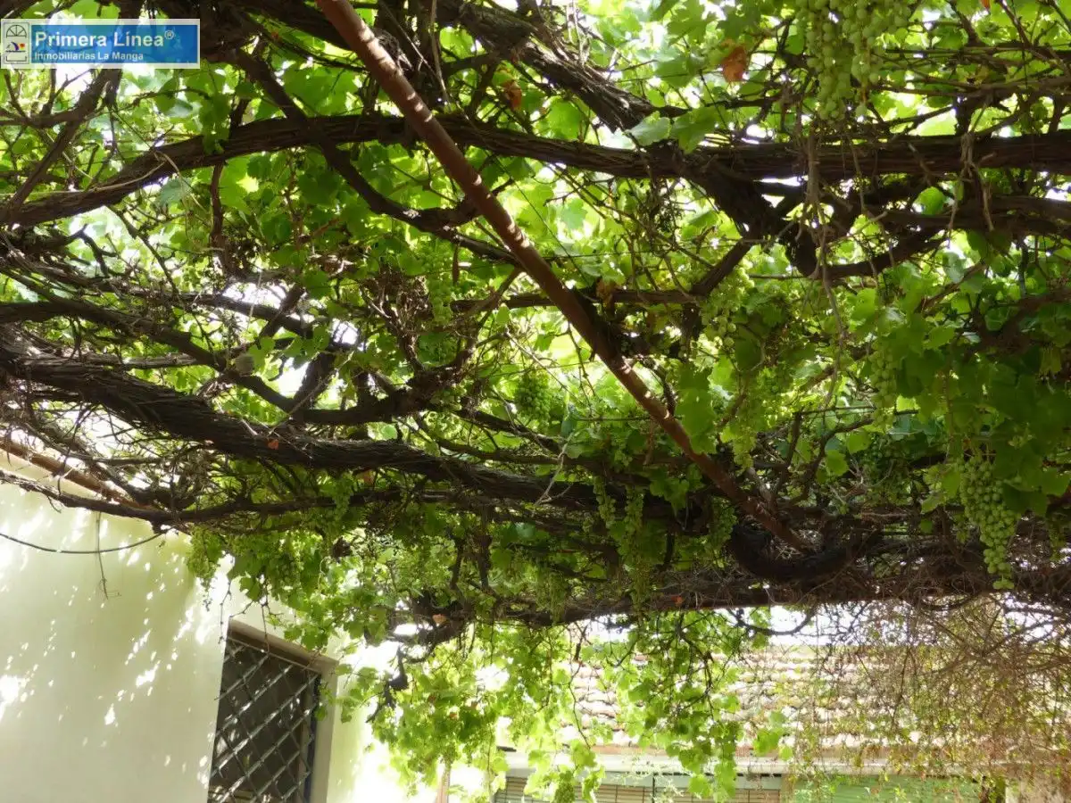 Jardí de Finca rústica en venda en Cartagena amb Jardí privat