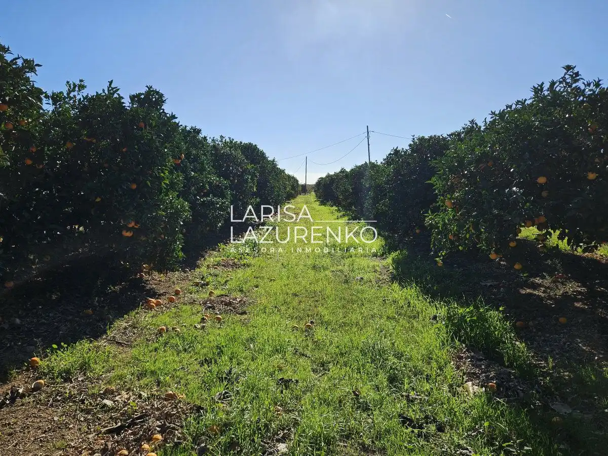 Finca rústica en venda en Vinyols i els Arcs