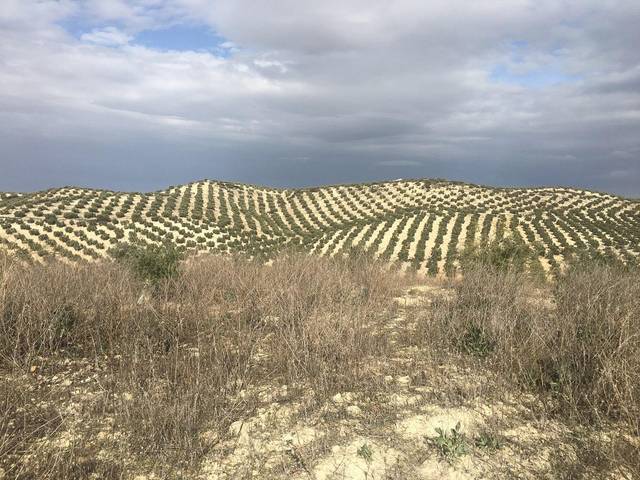 Terreno en Venta en Partido Castillo Anzur Y Barranquillos. " Las Rosa en Jauja