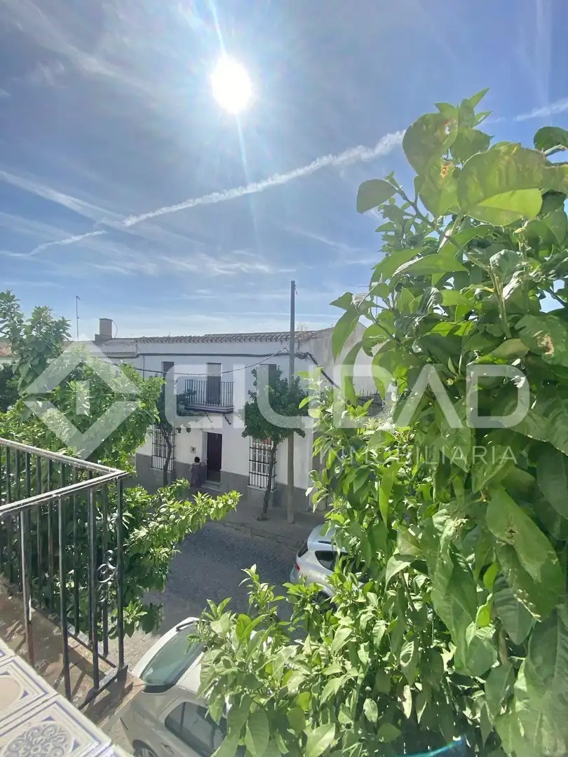 Exterior view of Houses for sale in Lebrija
