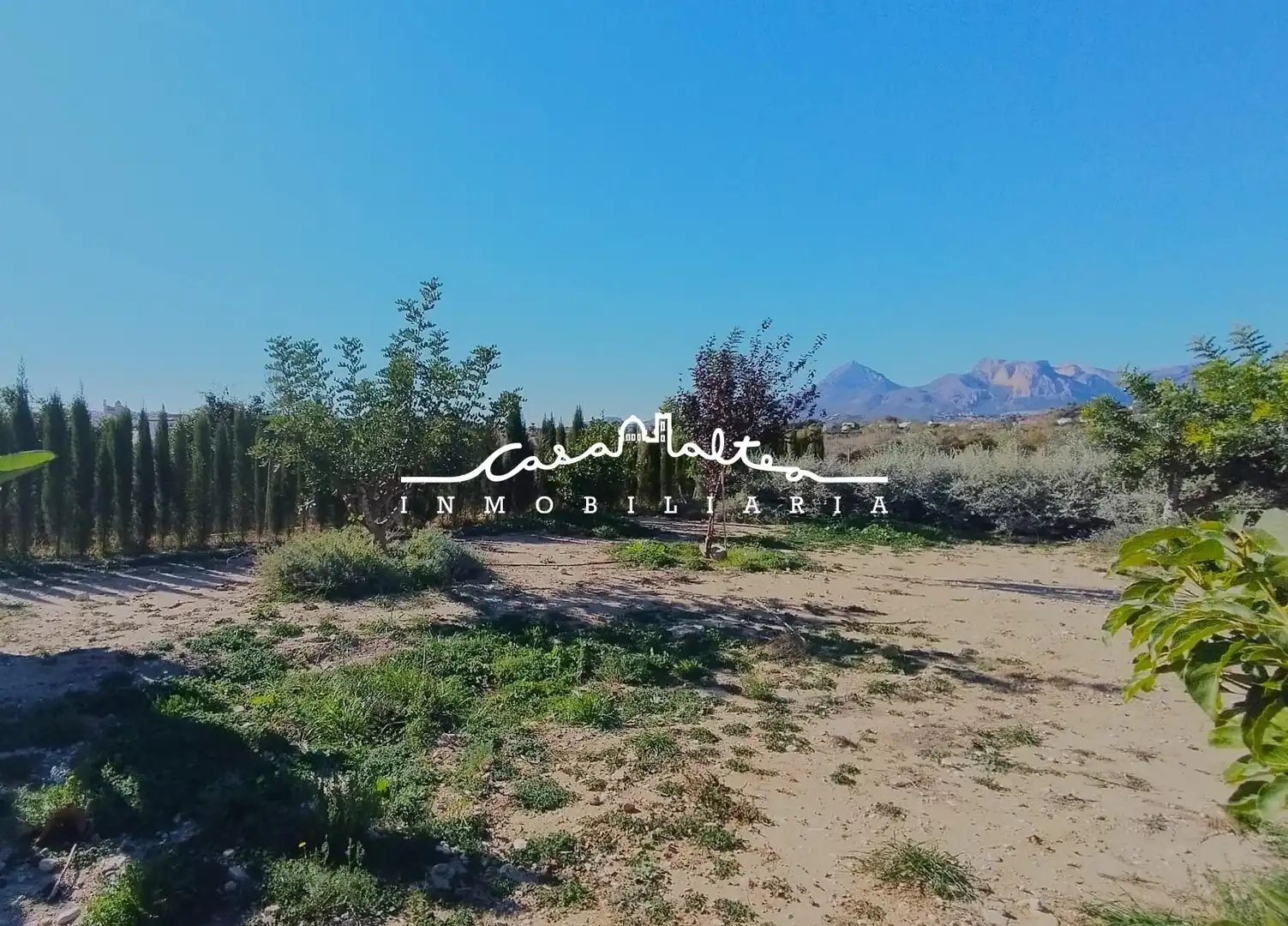 Rural land for sale in L'Olla, imagen 10