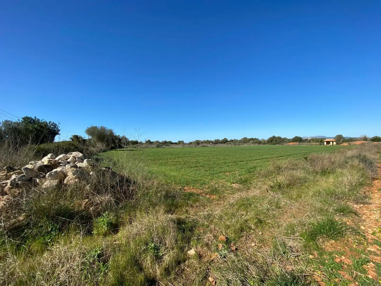 Residencial en venta en Felanitx Poble