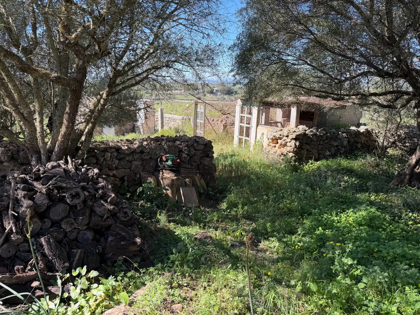 Terreni e lotti in vendita a Santa Margalida Poble, imagen 4