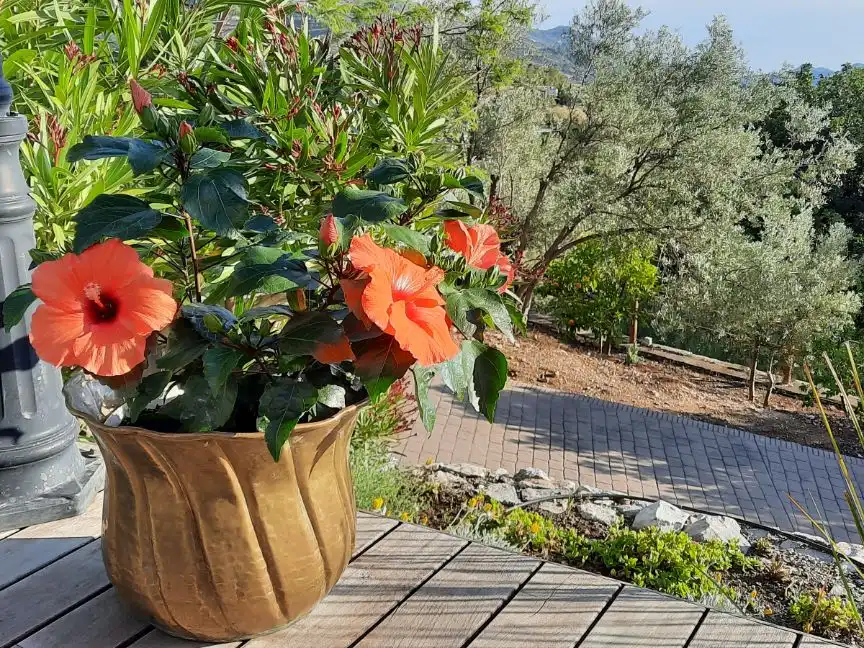 Bungalow con jardín en venta en Desconocido 125Z, imagen 40
