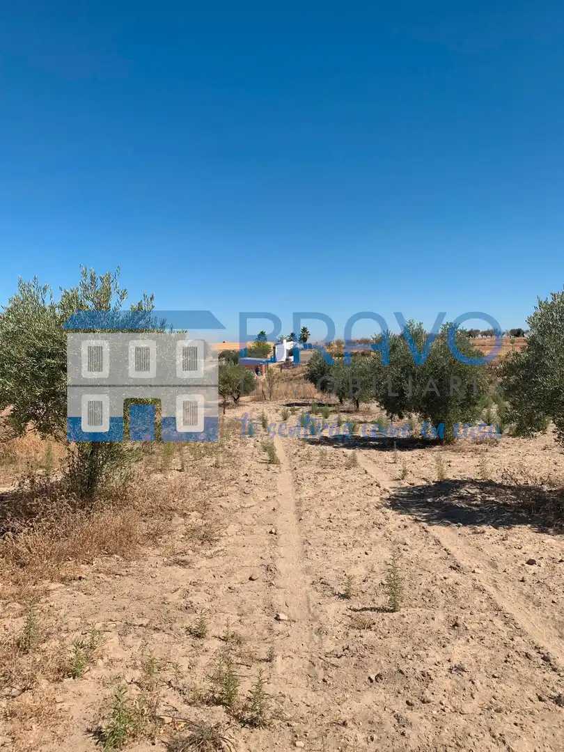 Chalet en venta en La Haba, imagen 39