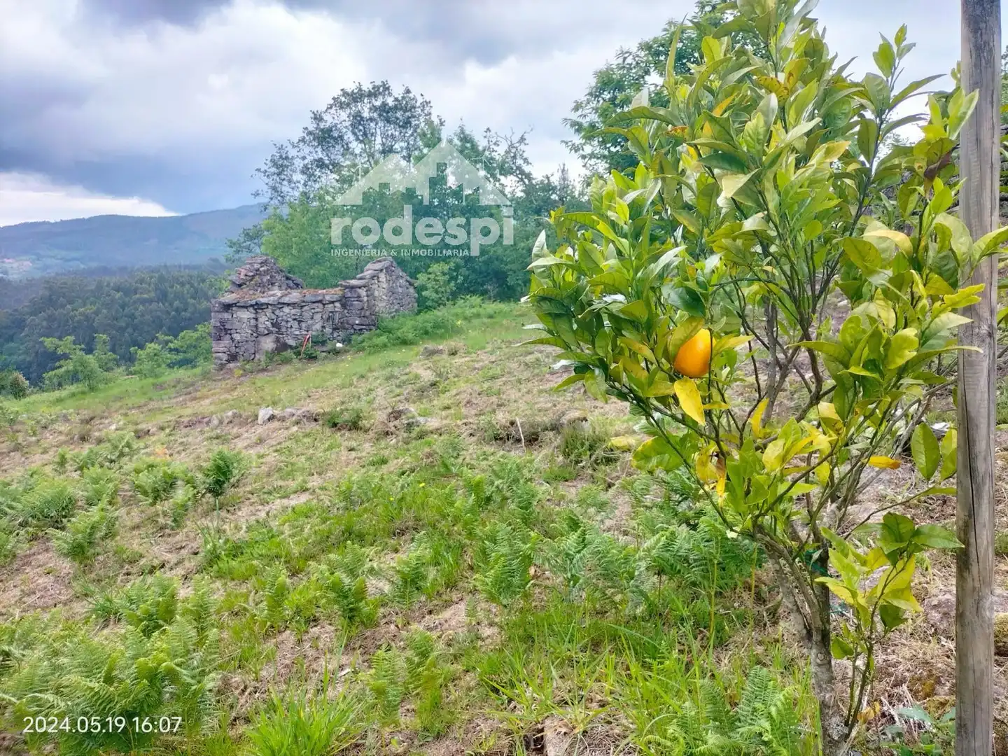 Terrenys i solars en venda a Cotobade, imagen 9