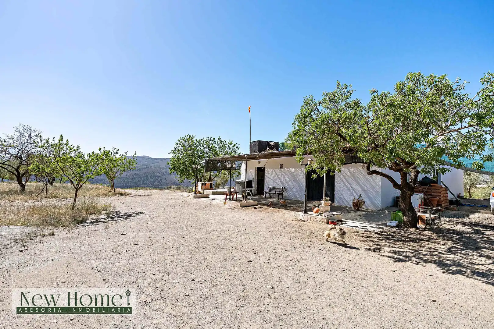 Vista exterior de Finca rústica en venta en Ugíjar