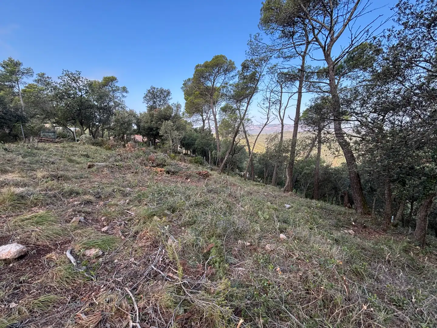Residential land for sale in Carrer Pasarell, imagen 19