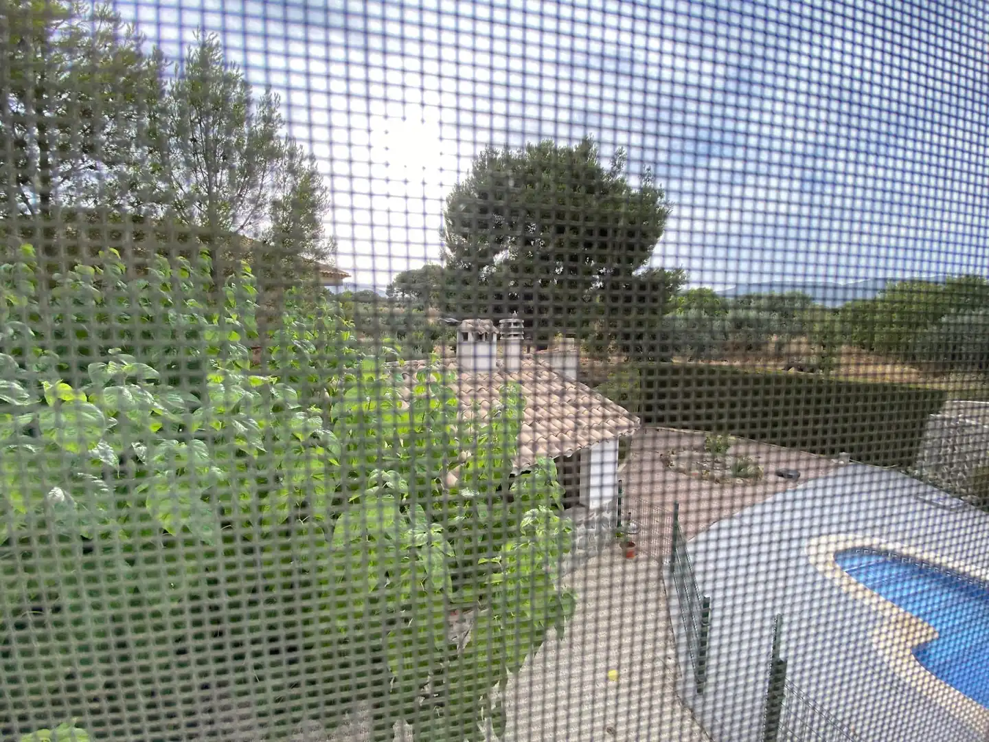 Jardín de Casa o chalet en venta en Moratalla con Jardín privado, Terraza y Trastero