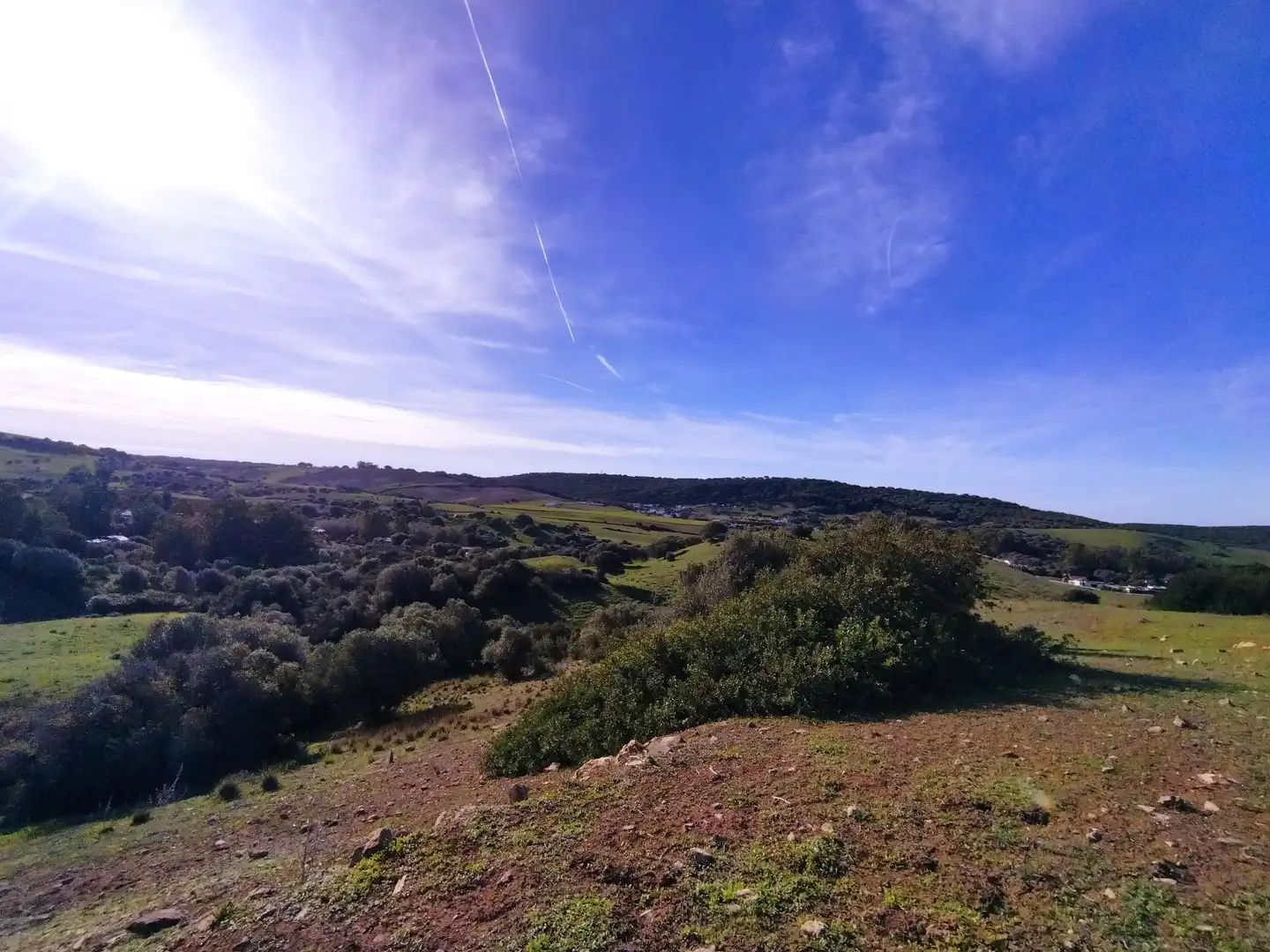 Terreno rustico in vendita a Carretera Arroyo San Ambrosio 385, imagen 11