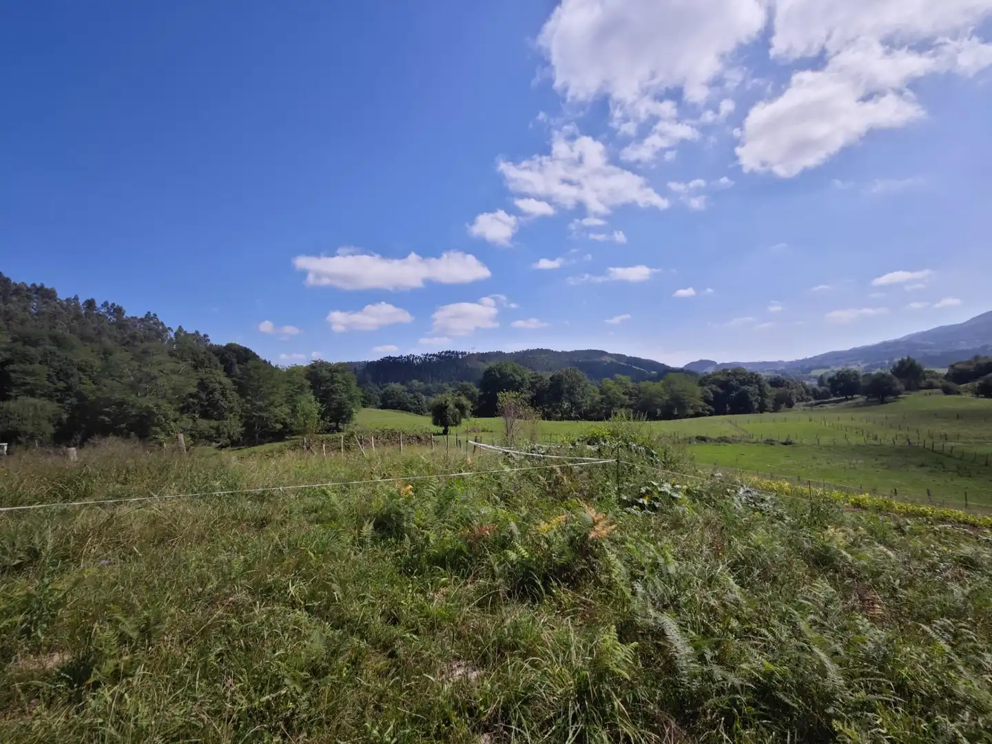 Residential land for sale in Mazcuerras, imagen 6