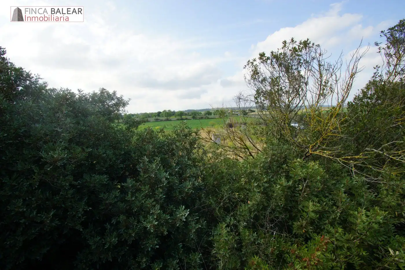 Terreno rustico in vendita a Algaida, imagen 6