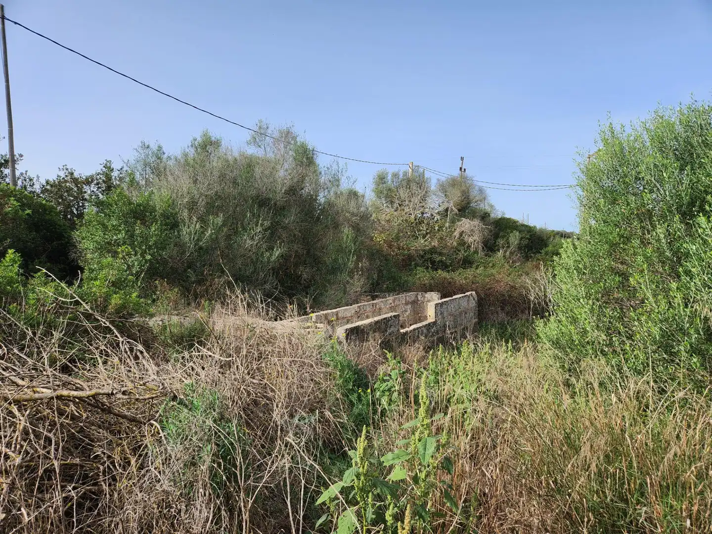 Maison rustique avec jardin à vendre à Muro, imagen 7