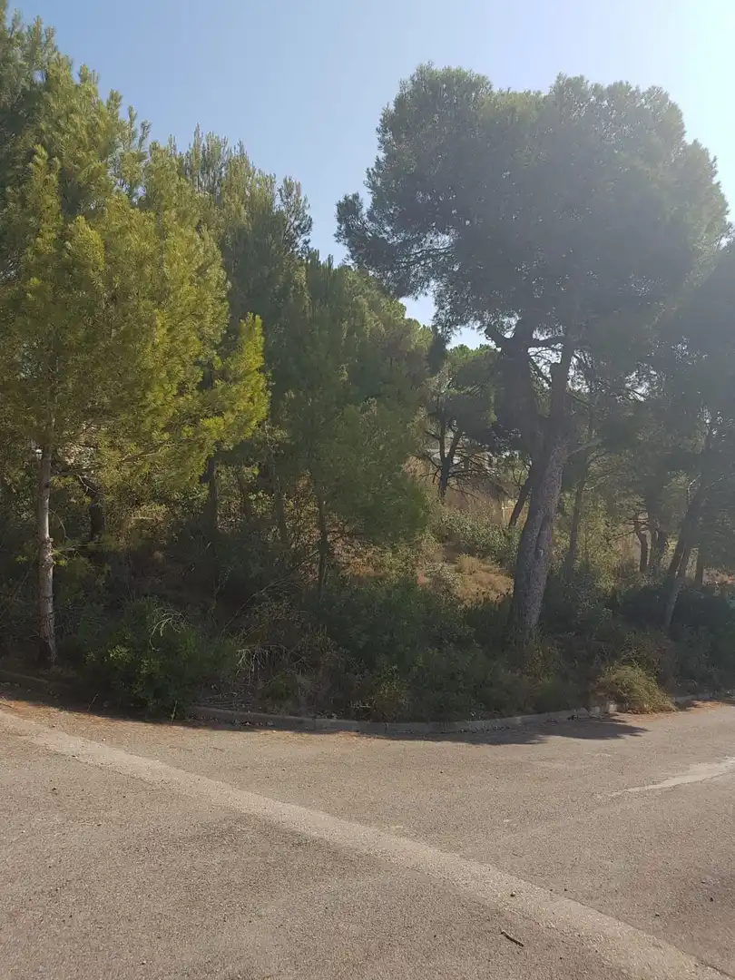 Lands and plots for sale in L'Estartit Poble, imagen 8